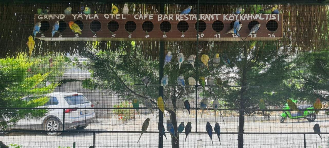 Grand Yayla Hotel Cesme Exterior foto